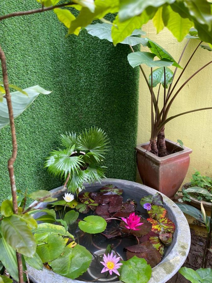 Seven Homestay フエ エクステリア 写真